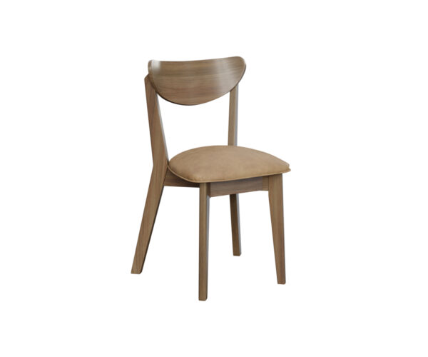 Braden Side Chair