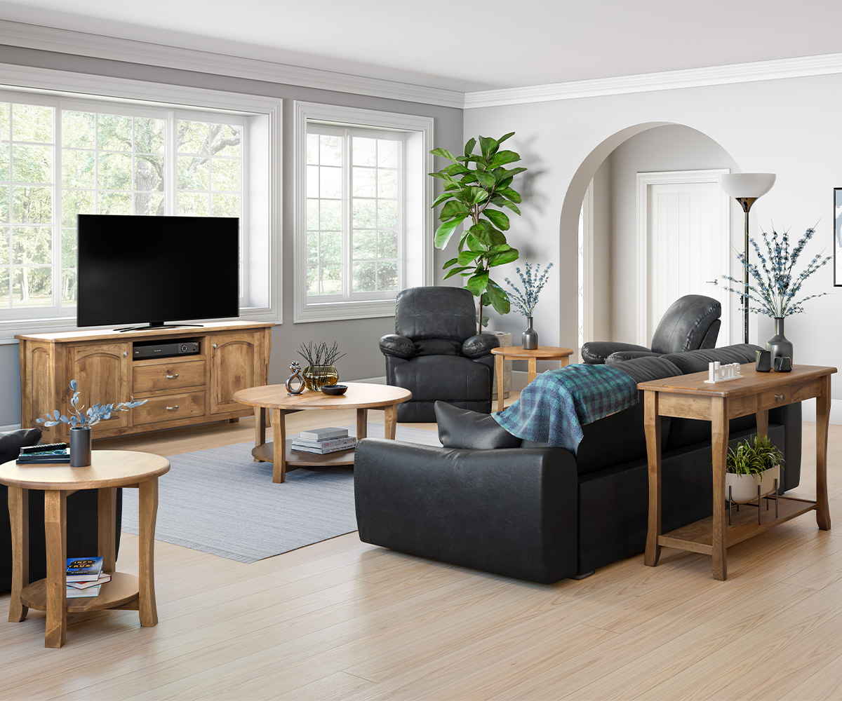 Berkley Media Console - Image 2